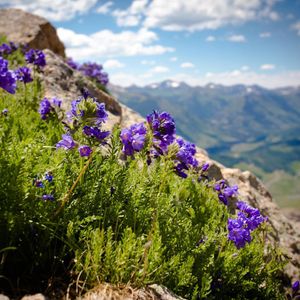 Image post by @skicrestedbutte on Instagram