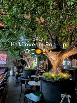 Image post by @visitexo2.0 on Instagram