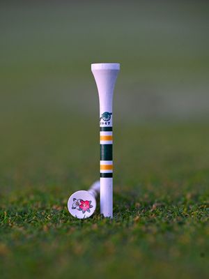 Image post by @evolvegolf on Instagram