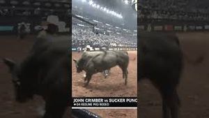 Video post by @pbr on YouTube