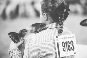 Image post by @AmericanRoyalLivestock on Facebook