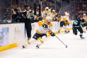 Image post by @PredsNHL on Twitter