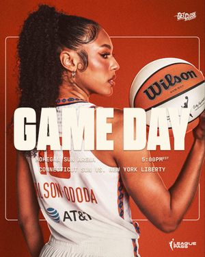 Image post by @ConnecticutSun on Twitter