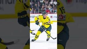 Video post by @flohockey on YouTube