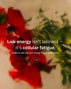 Image post by @im8health on Instagram