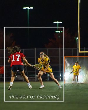 Image post by @lacrosseaustralia on Instagram