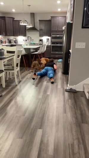 Video post by @momchats on TikTok