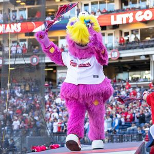 Image post by @sliderthemascot on Instagram