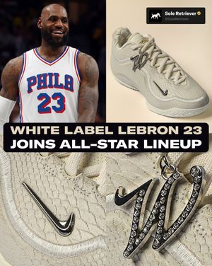Image post by @soleretriever on Instagram