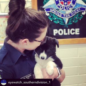 Image post by @victoriapolice on Instagram