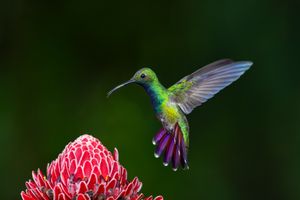 Image post by @sonyalpha on Instagram