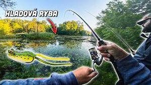 Video post by @jonasederfishing on YouTube