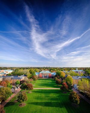 Image post by @WakeForest on Twitter