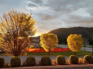 Image post by @SpringHillRoanoke on Facebook