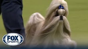 Video post by @foxsports on YouTube