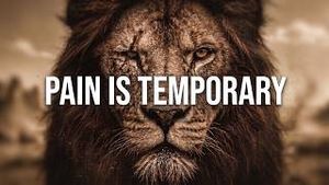 Video post by @coachpain8129 on YouTube