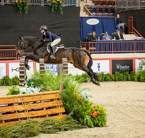 Image post by @usequestrian on Instagram