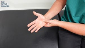 Video post by @thephysiochannel on Instagram