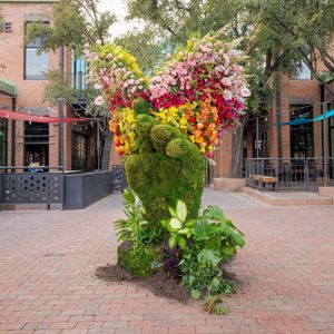 Image post by @downtowntempe on Instagram