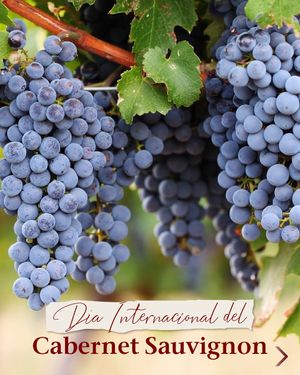 Image post by @riedelpartner_vnzla on Instagram