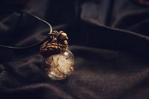 Image post by @leafyaffair on Instagram