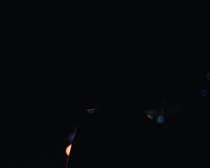 Image post by @nojostudios on Instagram