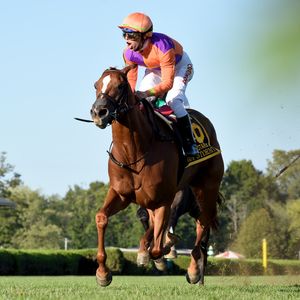 Image post by @spendthriftfarm on Instagram