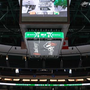 Video post by @minnesotawild on Facebook