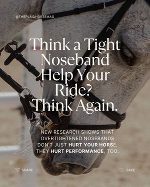 Image post by @theplaidhorsemag on Instagram