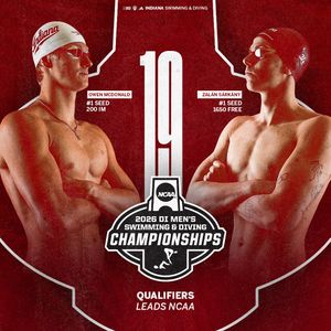 Image post by @indianaswimdive on Instagram