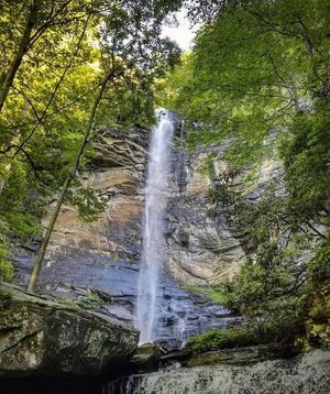Image post by @southcarolina on Instagram