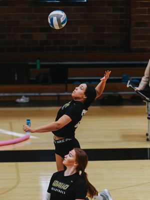 Image post by @vandalvolleyball on Instagram