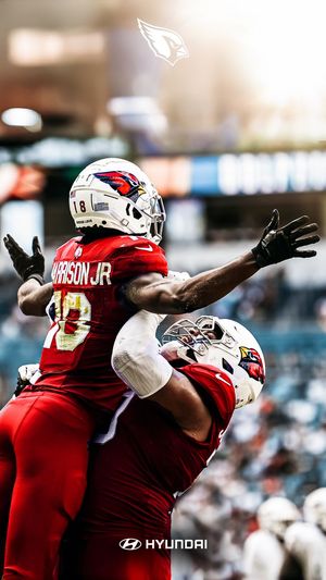 Image post by @AZCardinals on Twitter