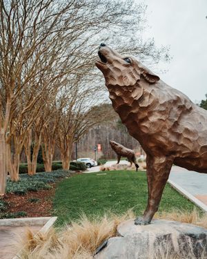 Image post by @ncstate on Instagram