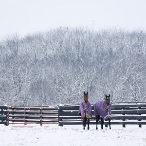 Image post by @margaux.farm on Instagram