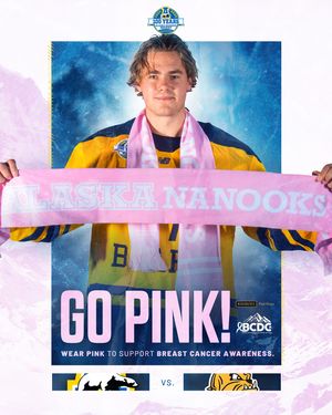 Image post by @nanookshockey on Instagram
