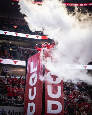 Image post by @bennythebull on Instagram