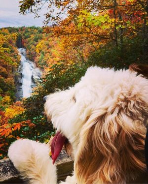 Image post by @amerisbank on Instagram