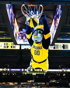 Image post by @pacersboomer on Instagram