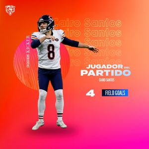 Image post by @bears_es on Instagram