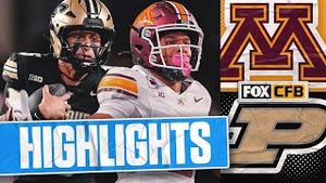 Video post by @cfbonfox on YouTube