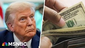 Video post by @msnbc on YouTube