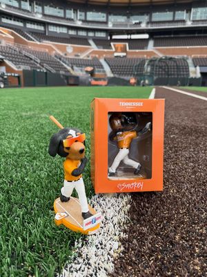 Image post by @vol_baseball on Instagram