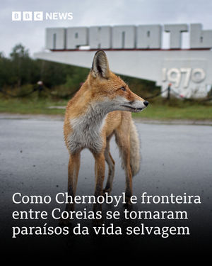 Image post by @bbcbrasil on Instagram