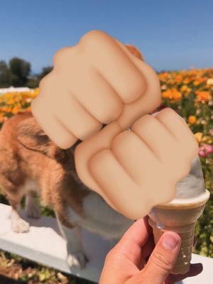 Image post by @ziggythecorg on Facebook