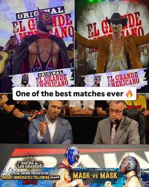 Image post by @wwe_on_netflix on Instagram