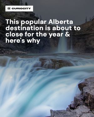 Image post by @curiocitycalgary on Instagram