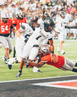 Image post by @batigersports on Instagram