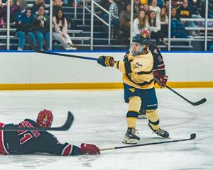 Image post by @wvud1hockey on Instagram