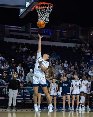 Image post by @raelynnhahncreative on Instagram